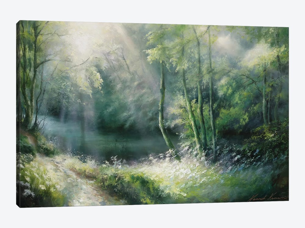 Summer Brilliance - Light Rays Through The Boughs Path By River Nidd by Hannah Kerwin 1-piece Canvas Art Print