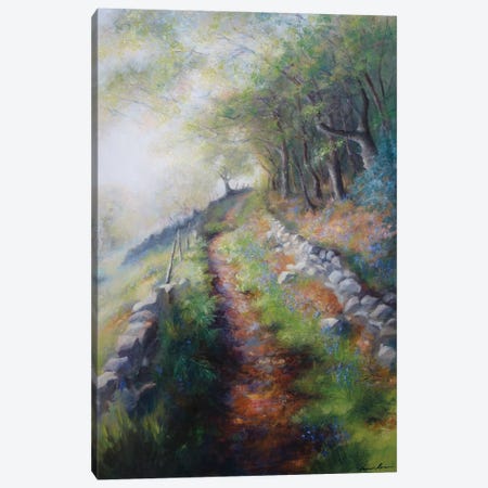 Ancient Pack Horse Track Through The Woods Early Spring Canvas Print #HKW2} by Hannah Kerwin Canvas Art Print