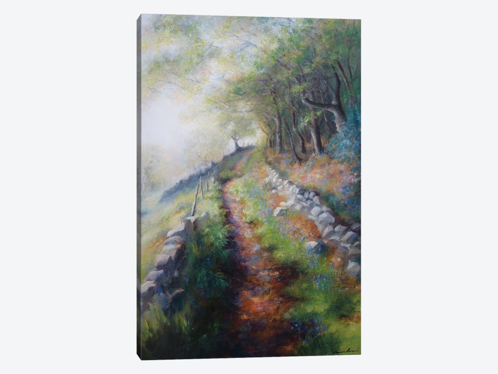 Ancient Pack Horse Track Through The Woods Early Spring by Hannah Kerwin 1-piece Canvas Art