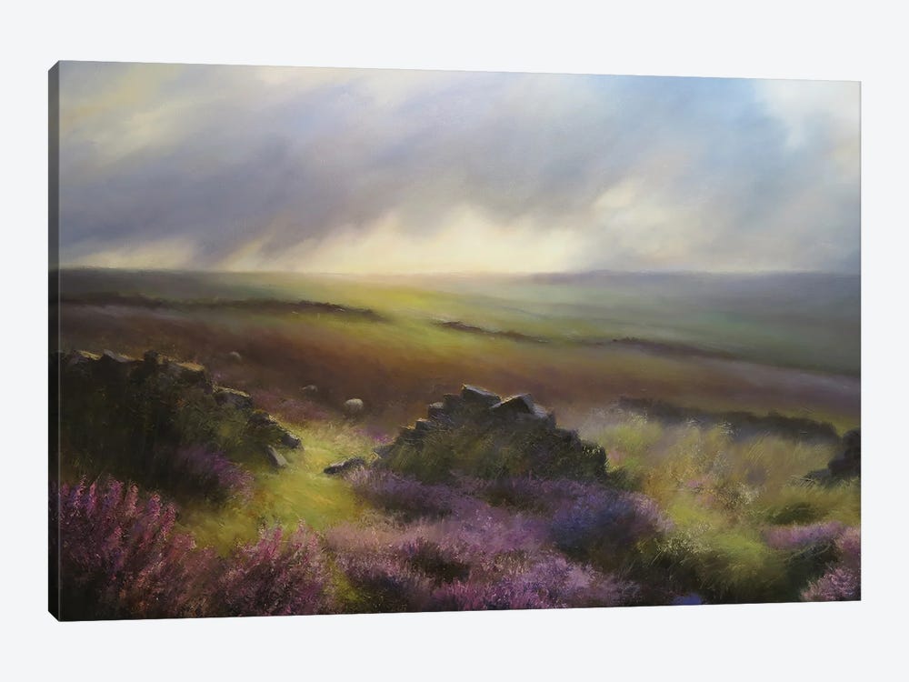 Three Sheep In Moorland Heather - Glimpse Of Bronte Country , Yorkshire by Hannah Kerwin 1-piece Canvas Art