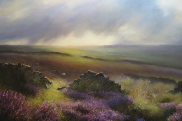 Hannah Kerwin: Three Sheep In Moorland Heather - Glimpse Of Bronte Country , Yorkshire by Hannah Kerwin