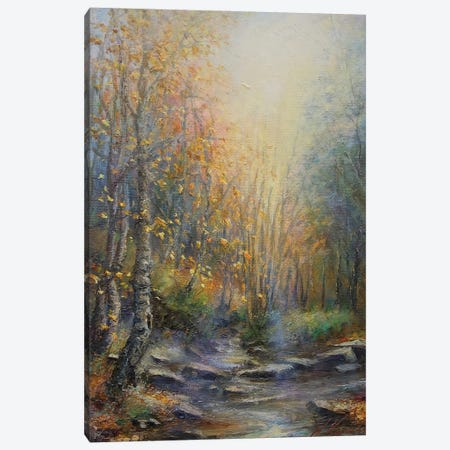 Autumn Woodland Sun Rays On Water - Stepping Stones On Stream Canvas Print #HKW3} by Hannah Kerwin Art Print