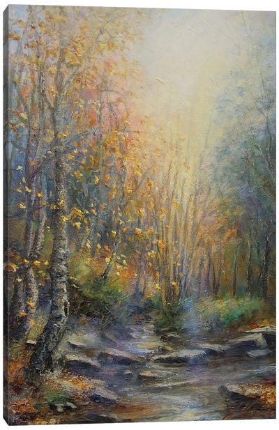 Autumn Woodland Sun Rays On Water - Stepping Stones On Stream Canvas Art Print - Hannah Kerwin