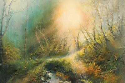 Beautiful Morning Sunlight On A Country Lane , Yorkshire by Hannah Kerwin canvas print