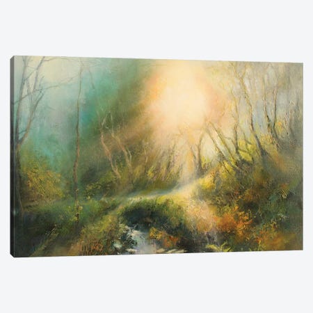 Beautiful Morning Sunlight On A Country Lane , Yorkshire Canvas Print #HKW4} by Hannah Kerwin Canvas Wall Art