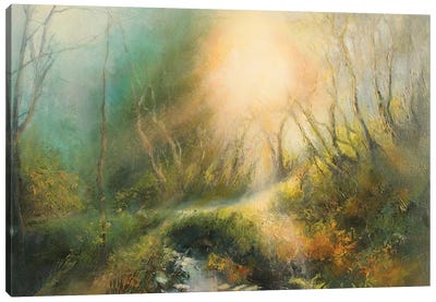 Beautiful Morning Sunlight On A Country Lane , Yorkshire Canvas Art Print