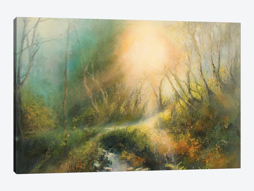 Beautiful Morning Sunlight On A Country Lane , Yorkshire by Hannah Kerwin 1-piece Canvas Wall Art