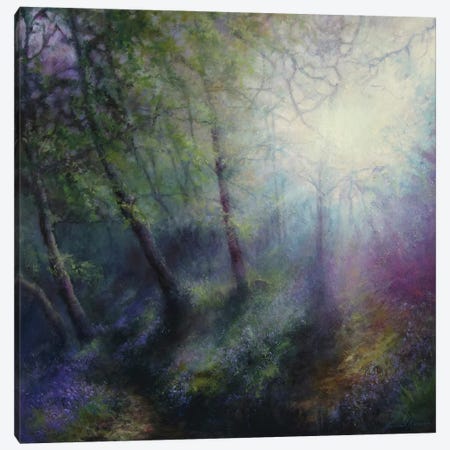 Brilliance Of The Spring Light On Early Bluebells Canvas Print #HKW5} by Hannah Kerwin Canvas Artwork