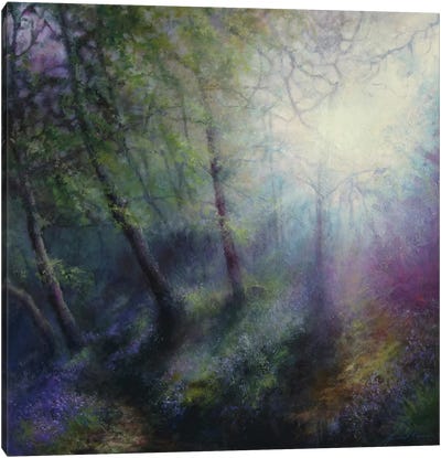 Brilliance Of The Spring Light On Early Bluebells Canvas Art Print - Hannah Kerwin