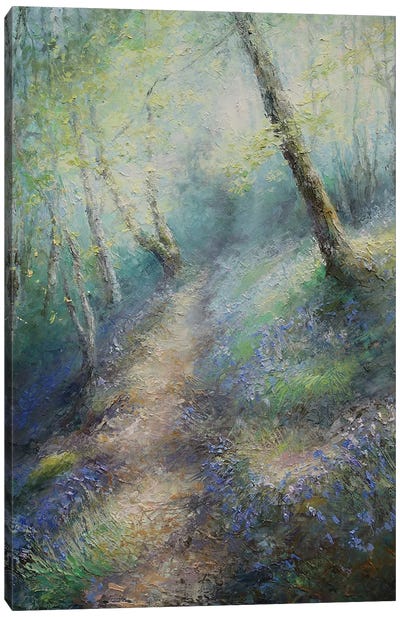 Climb Towards Saltonstall In Early Spring Stillness Canvas Art Print - Green Art