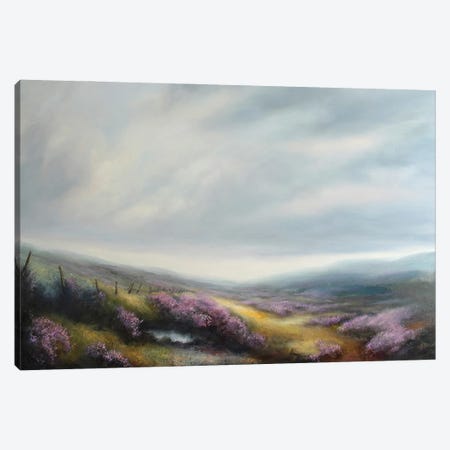 Heather And Sky - North York Moors Canvas Print #HKW9} by Hannah Kerwin Canvas Print
