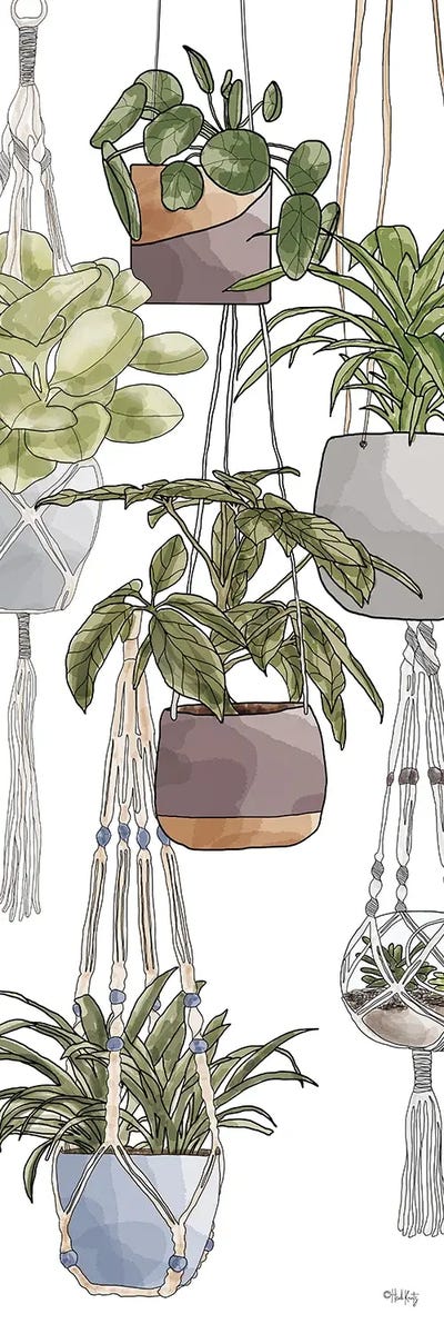 Indoor Hanging Plants by Heidi Kuntz canvas print
