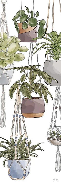 Indoor Hanging Plants