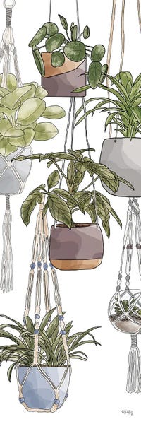 Indoor Hanging Plants