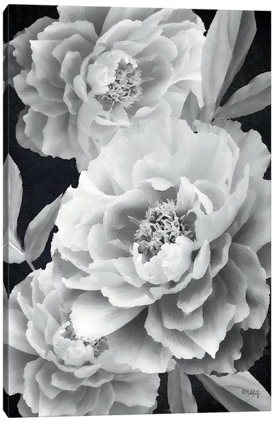 Black And White Peonies Canvas Art Print