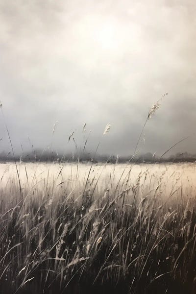 Heidi Kuntz: Fieldscape by Heidi Kuntz