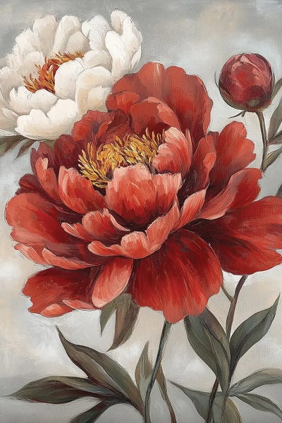 Crimson And Cream Peonies II