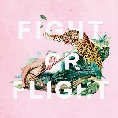 Fight Or Flight by Heather Landis art print
