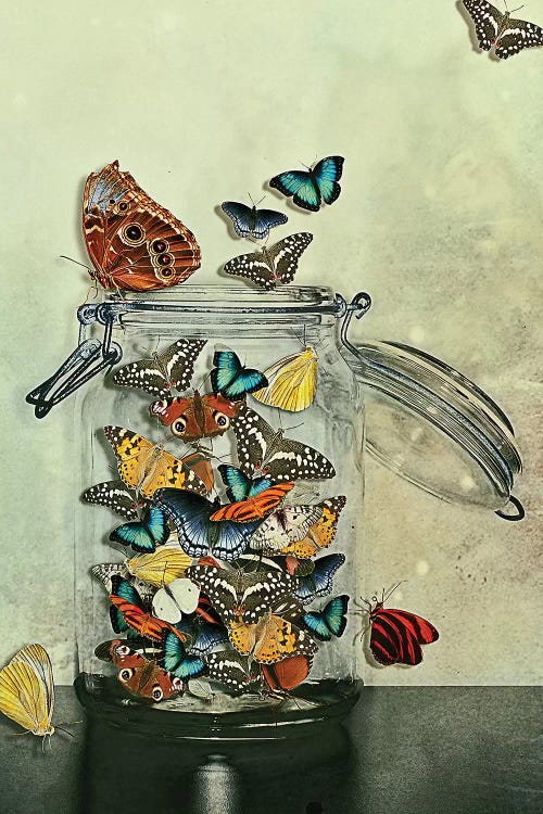 Freedom