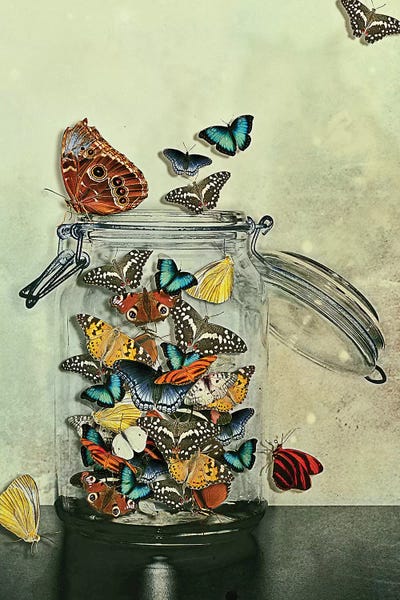 Butterflies: Freedom by Heather Landis