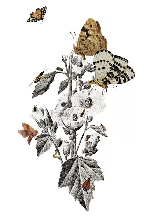 Insect Toile by Heather Landis wall art