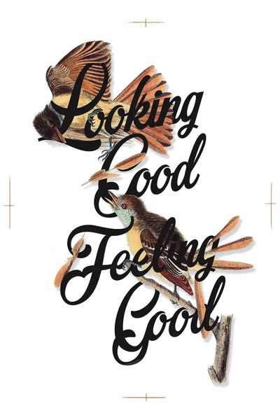 Look Feel Good by Heather Landis art print
