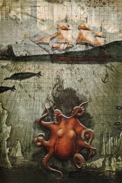 Paper Octopus by Heather Landis framed canvas print