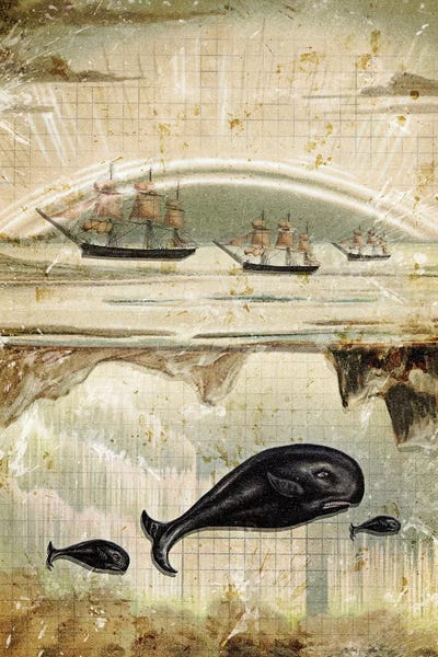 Whales: Paper Whale by Heather Landis