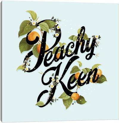 Peachy Keen Mint Canvas Art Print - Heather Landis