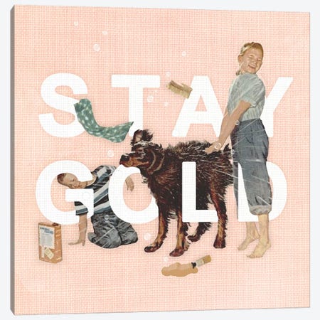 Stay Gold Canvas Print #HLA37} by Heather Landis Canvas Print