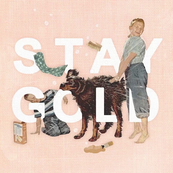 Office Humor: Stay Gold by Heather Landis