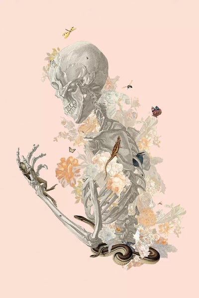 Skeletons: Stranger Danger by Heather Landis