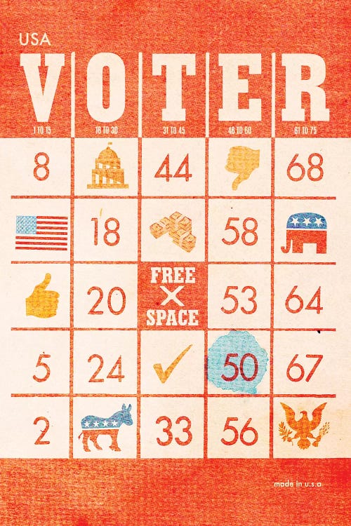 Voter Bingo by Heather Landis wall art