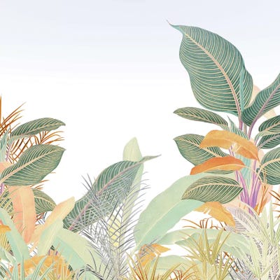 Native Jungle by Heather Landis canvas print