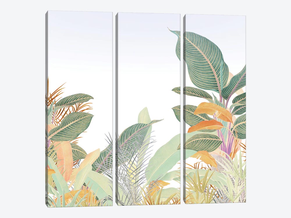 Native Jungle by Heather Landis 3-piece Canvas Wall Art