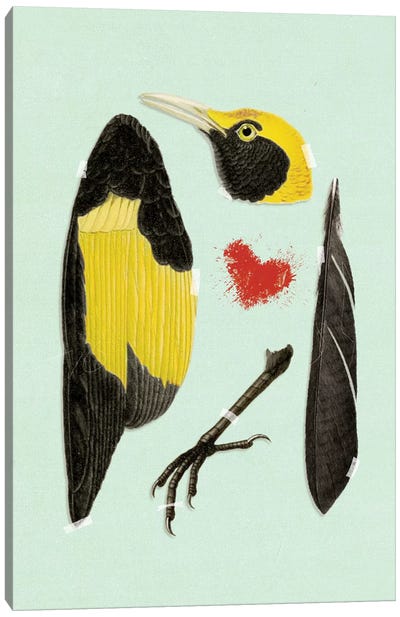 Bird Canvas Art Print - Heather Landis