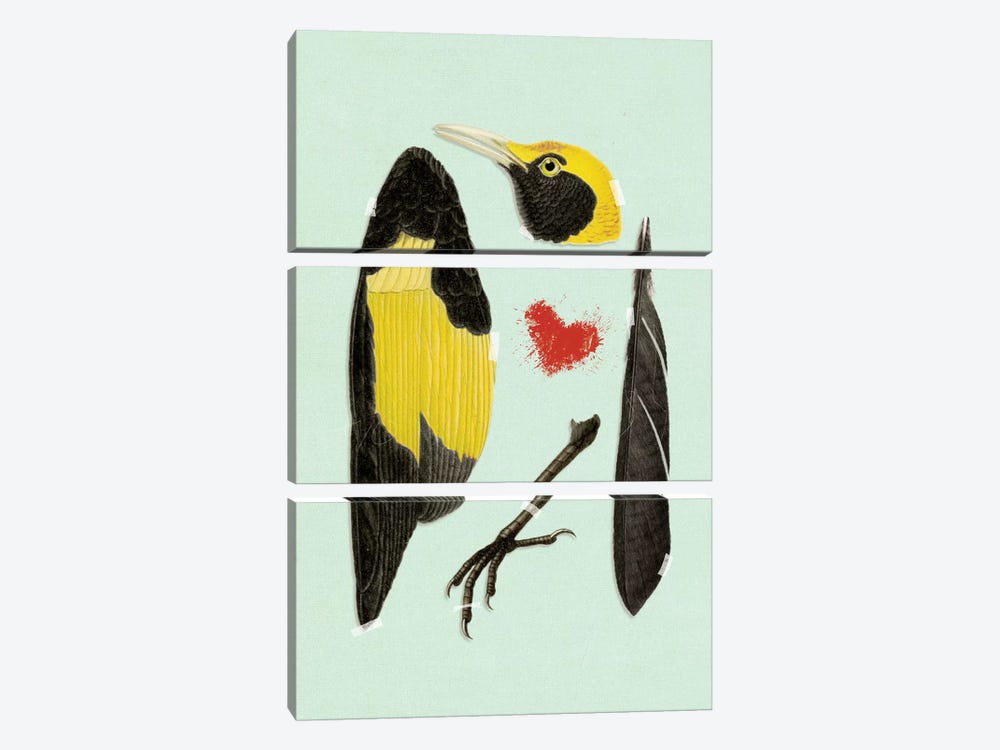 Bird by Heather Landis 3-piece Canvas Print