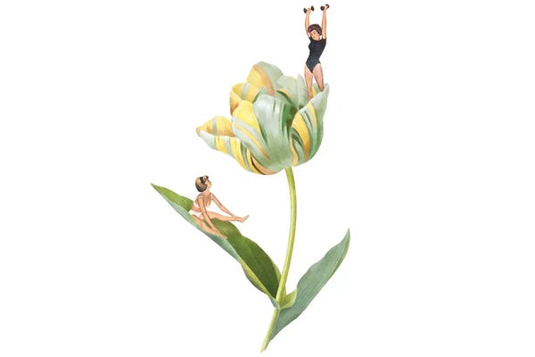 Tulips: Showoff by Heather Landis