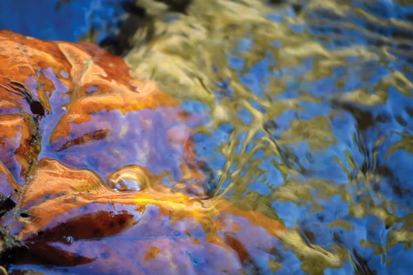 Helena Cooper: Venus by Helena Cooper