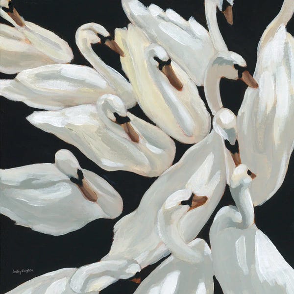 Swans: Bevy by Haley Knighten