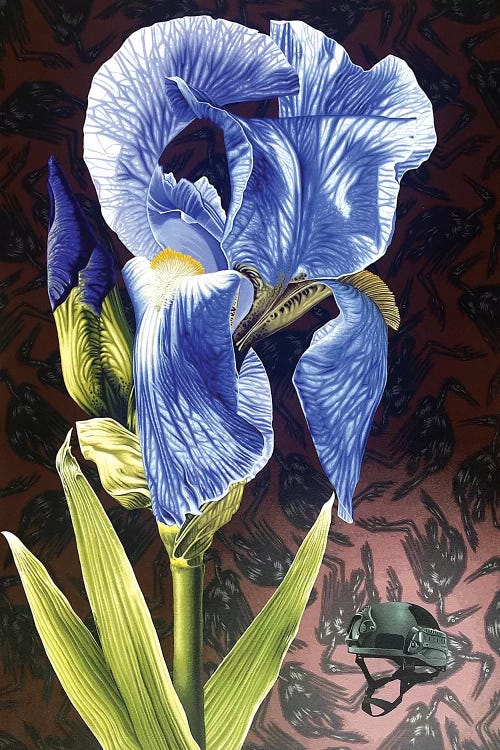 Iris Crisis by Stephen Hall wall art