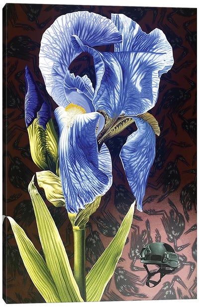 Iris Crisis Canvas Art Print - Stephen Hall