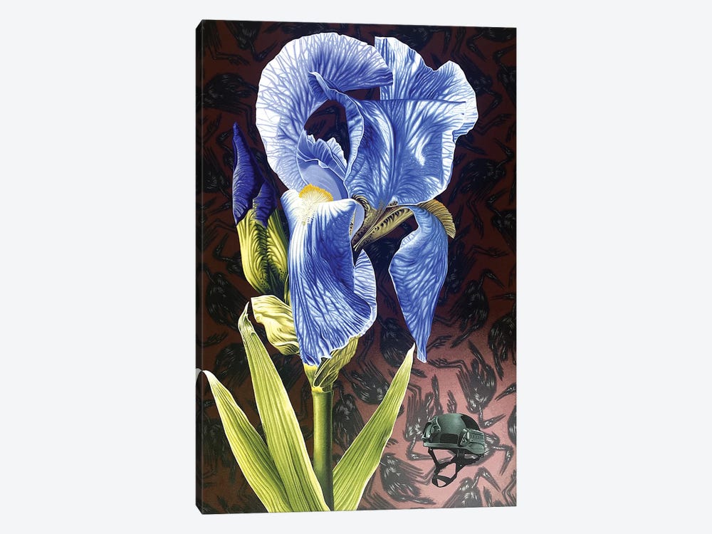 Iris Crisis by Stephen Hall 1-piece Canvas Print