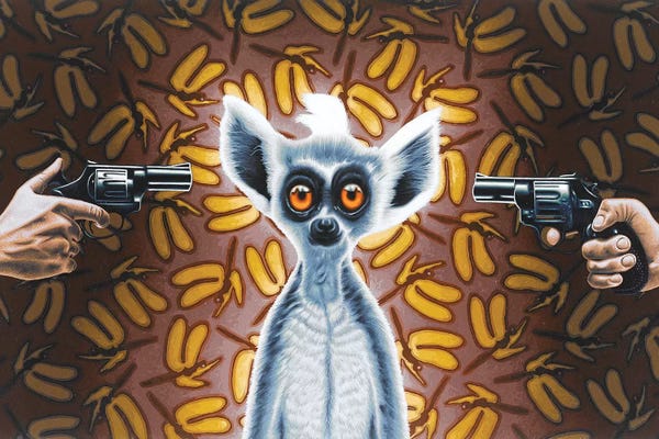 Lemurs: Oh Say You Can See  by Stephen Hall