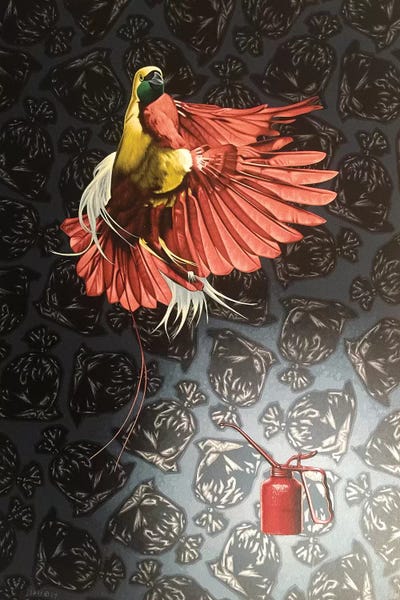 Wildlife Conservation: Paradise Lost  by Stephen Hall