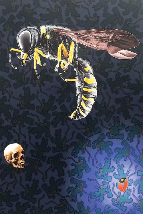Time's Up!! by Stephen Hall wall art