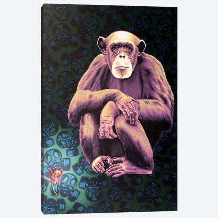 APE (Anyone Protecting the Environment) Canvas Print #HLL3} by Stephen Hall Canvas Artwork