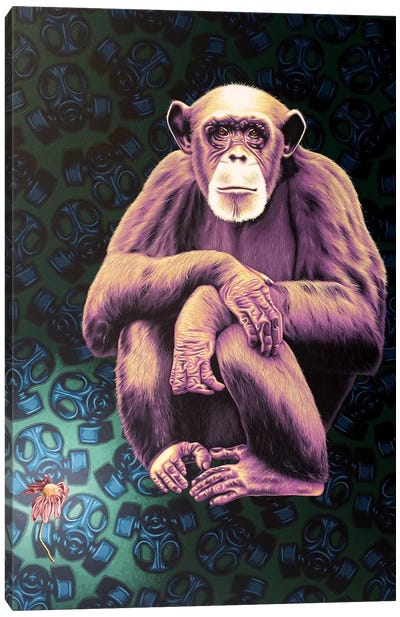APE (Anyone Protecting the Environment) Canvas Art Print - Wildlife Conservation Art