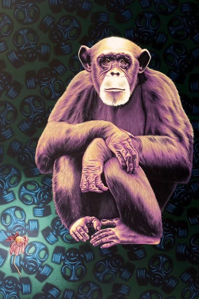 Art Worth Awareness: APE (Anyone Protecting the Environment) by Stephen Hall