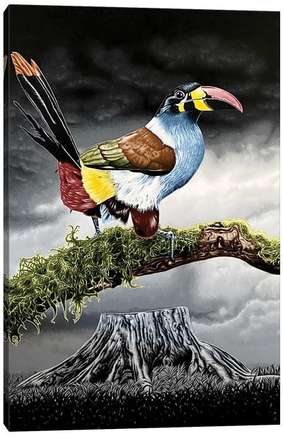 Sin Arboles Canvas Art Print - Environmental Conservation Art